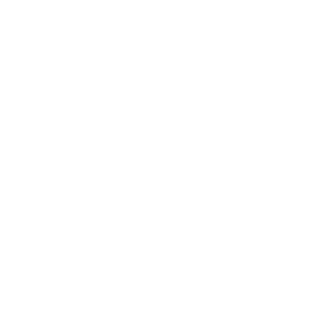light logo